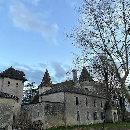In A Renaissance Castle