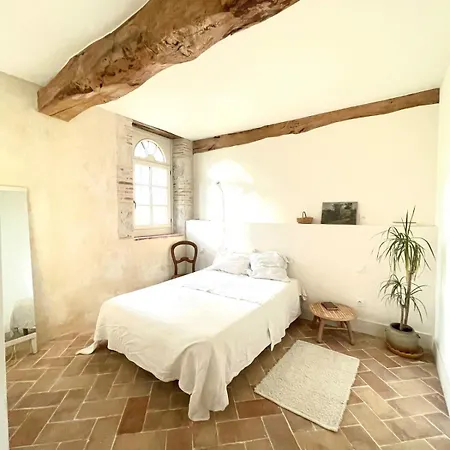דירה In A Renaissance Castle Layrac